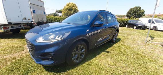 Ford Kuga 1.5 EcoBlue 120 CV aut. 2WD ST-Line