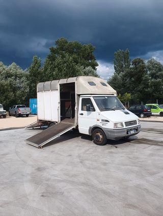 Fiat Iveco 35.10 trasporto cavalli