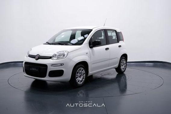 FIAT New Panda 1.2 Easy 4 posti N1 Autocarro della casa