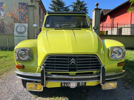 Citroen Dyane 6