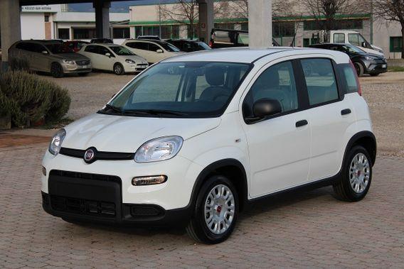 Fiat Panda 1000 FireFly Hybrid 70CV ""Panda"" 5 Porte *Km. Zero*