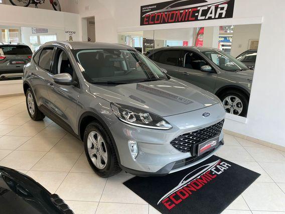 Ford Kuga 1.5 EcoBlue 120 CV 2WD Titanium Business