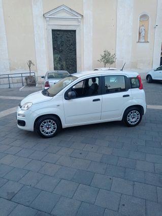 Fiat Panda 1.2 Easy 2020