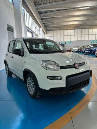 FIAT PANDA 1.0 Hybrid KM 0 2024 Nuova PANDINA