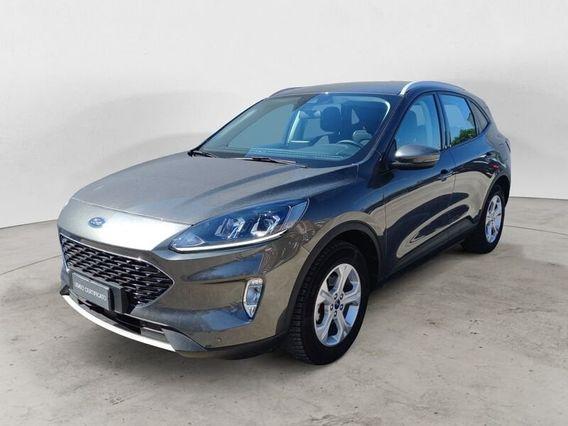 Ford Kuga 1.5 EcoBlue 120 CV 2WD Titanium Business N1 Autocarro