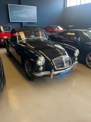 MgA