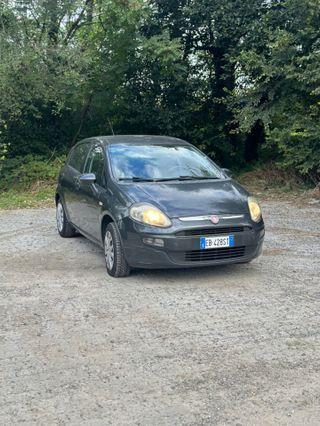 Fiat Punto Evo Punto Evo 1.2 5 porte Active