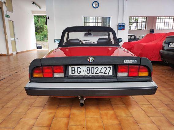 Alfa Romeo Spider Duetto 1.6 - Autentico conservato