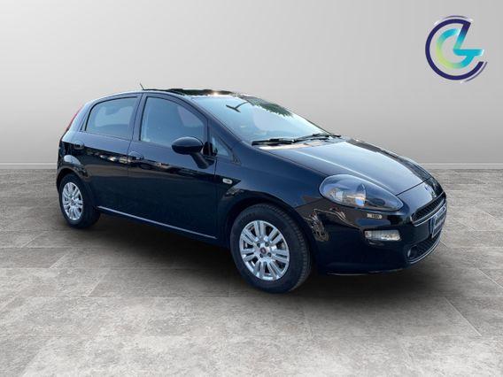 FIAT Punto III 2012 - Punto 5p 1.3 mjt Street s&s 95cv