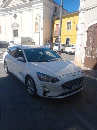 Ford Focus 1.5 EcoBlue 120 CV automatico SW Business Co-Pilot