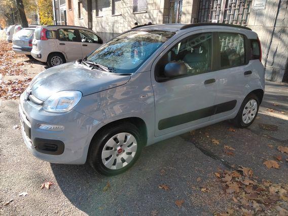 Fiat Panda 1.0 FireFly Hybrid City Life